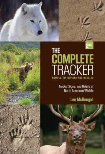 Observing Animals in the Wild: How to Take Nature Photos